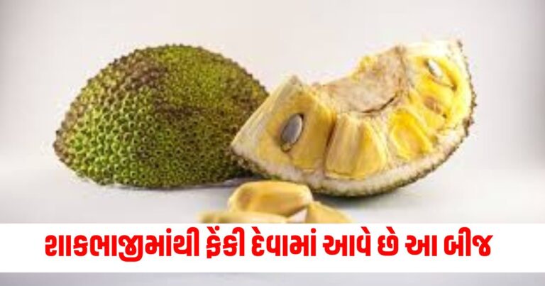 Jackfruit Seeds Benefit, Health , Fruit , Jackfruit , Seeds , Benefits ,, Skin and Hair Benefits, Overall Wellness, Healthy Benefits,