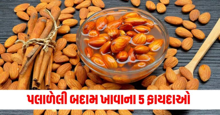 Health News, Health News in Gujarati, Latest Health News In Gujarati, Latest Health News Today In Gujarati, Fitness News In Gujarati, Fitness News, Health News, હેલ્થ આરોગ્ય ટીપ્સ, Health Tips in Gujarati, Fitness Tips In Gujarati, Latest Health Update, Health Tips news, Live Health tips 2024, Health Fitness Tips 2024, Current Health Fitness Tips, Shantishram Health News, Health Fitness Update In Gujarati,Shantishram,