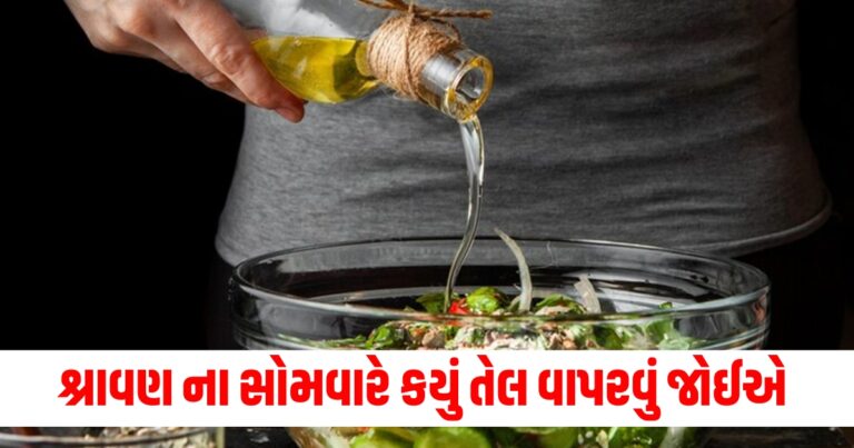 Vrat Food, Latest Food News In Gujarati, live food update , food headline, today’s food recipe, current food recipe, top food recipe, latest food update, live food recipe, shantishram food recipe, food update, food news, food tips, latest food tips recipe, live food tips, shantishram food tips,