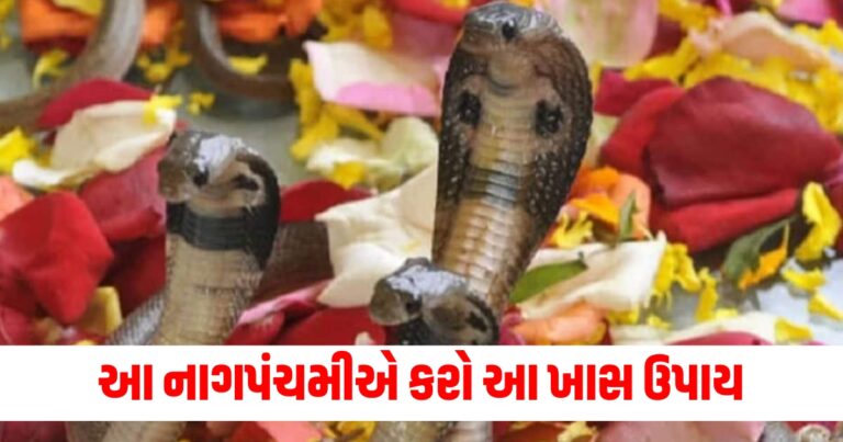 Nag Panchami, Religion News, Religion News In Gujarati, Religion Gujarati News, Latest Religion News, Latest Religion News In Gujarati, Religion Samachar, Religion News Today, Religion News in Gujarati, Latest Religion Samachar, ધર્મ સમાચાર, ધર્મ ન્યૂઝ, Religious Headline, Religious Live News, Today’s Religious Update, current Religious News In Shantishram, Religious Update, Religious News, Shantishram, religious Astrology Updates, Live Religious Astrology News,