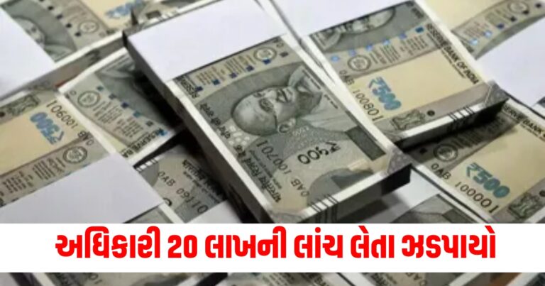 Gujarat News,gujarat news, gujarat news today, latest news gujarat, gujarat news live, today gujarat news, gujarat news in gujarati, latest gujarat news, news gujarat, gujarat top news, latest gujarat news, gujarat crime news, gujarat politics news, gujarat live, gujarat news live today, current news gujarat, latest news gujarat today, recent news in Gujarat, latest news gujarat today, gujarat news ગુજરાતી, ગુજરાત, ગુજરાત સમાચાર, ગુજરાત ન્યૂઝ, Today’s Gujarat Update, Gujarat Live Update, Gujarat Samachaar , Current Gujarat New, Shantishram Gujarat Update,Shantishram Gujarat Live Update