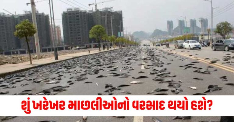 Offbeat News, fish-Rain, god-gift, Monsoon, miracle, માછલીનો વરસાદ,