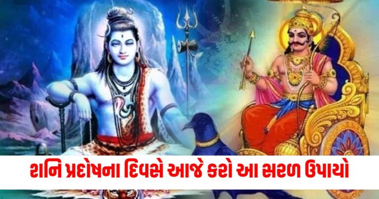 શનિ પ્રદોષ 2024, શનિ પ્રદોષ ઉપાય, શનિ પ્રદોષ ઉપચાર, શનિવાર પ્રદોષ વ્રત, શનિ દેવ પૂજા,