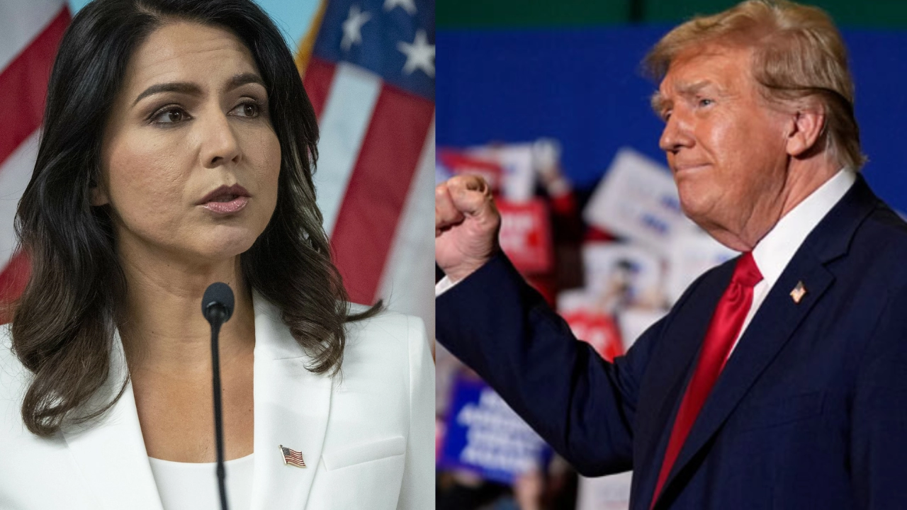 Trump vs Kamala Harris : ટ્રમ્પે કમલા હેરિસને હરાવવા માટે માંગી હિન્દુ-અમેરિકન નેતાની મદદ, જાણો કોણ છે તુલસી ગબાર્ડ