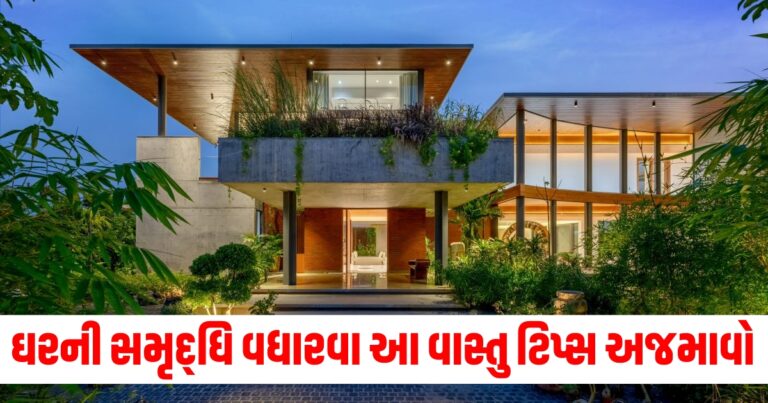 Vastu : ઘરની સમૃદ્ધિ વધારવા માટે આજે જ આ વાસ્તુ ટિપ્સ ટ્રાય કરો