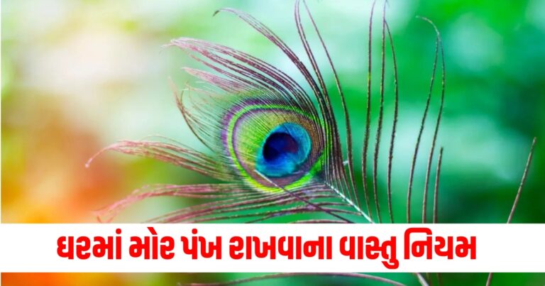 Vastu Tips : વાસ્તુ નિયમો અનુસાર આ જગ્યાએ મોર પીંછા ન રાખવા જોઈએ, થઈ શકે છે મોટું આર્થિક નુકસાન