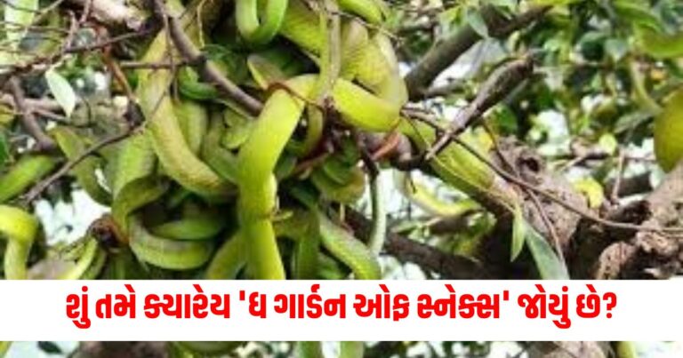 Offbeat News : શું તમે ક્યારેય 'ધ ગાર્ડન ઓફ સ્નેક્સ' જોયું છે? તેનો નજારો જોઈને તમારું હ્રદય થરથર થંભી જશે!