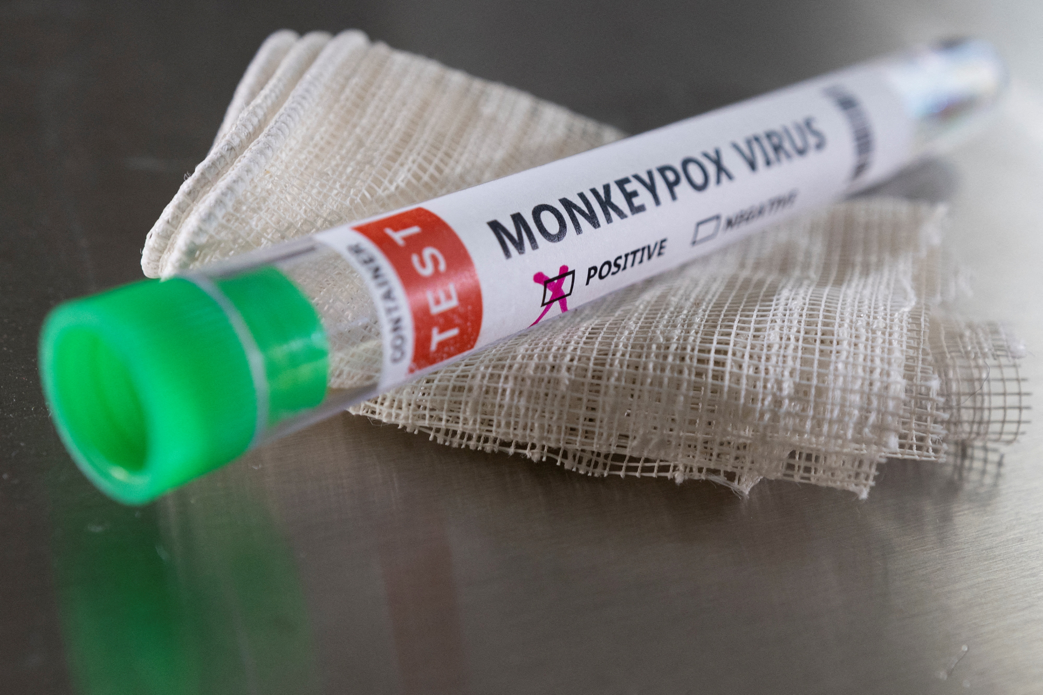 Monkeypox : આફ્રિકામાં વિનાશ બાદ એશિયન દેશોમાં પ્રવેશતા મંકીપોક્સે રોગચાળાનું સ્વરૂપ લીધું છે