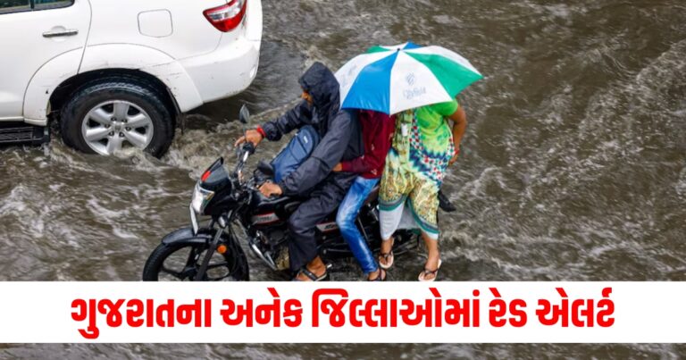 Weather Update, ગુજરાત હવામાન, Gujarat Weather Update, atest Gujarat Weather Forecast ,