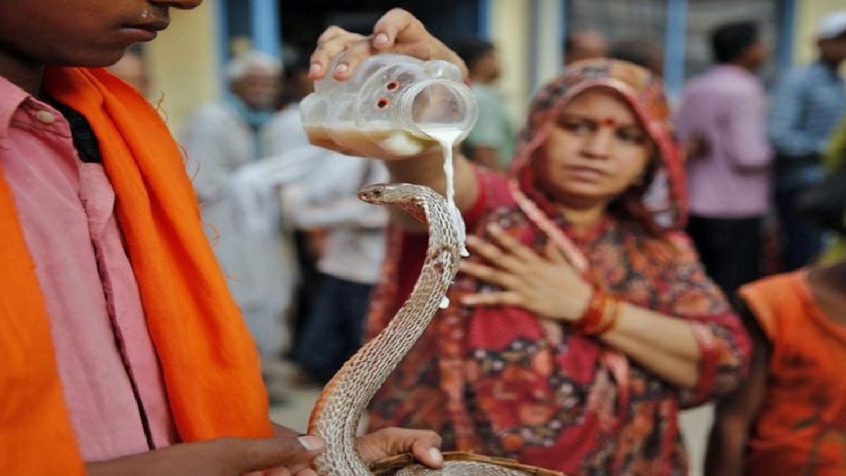 Nag Panchami 2024 Gujrati Date : ગુજરાતમાં નાગપંચમી ક્યારે ઉજવવામાં આવશે,જાણો તારીખ, સમય અને પૂજાની કરવા ની રીત