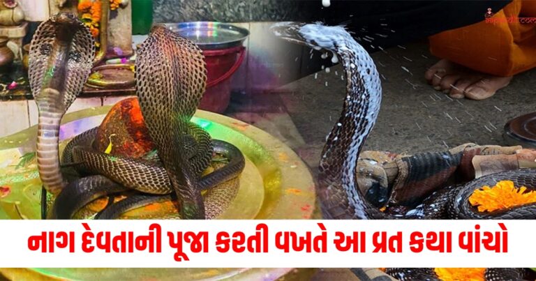 Nag Panchami 2024, Nag Panchami vrat katha, Nag Panchami vrat vidhi, Nag Panchami vrat vidhi 2024,