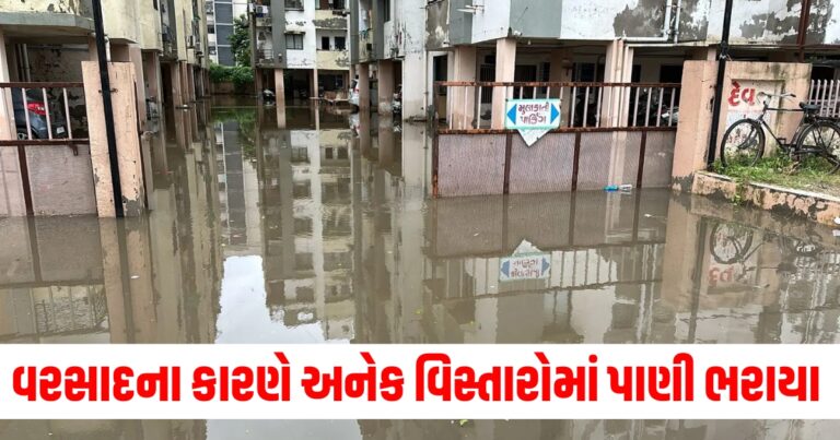 Gujarat Rain