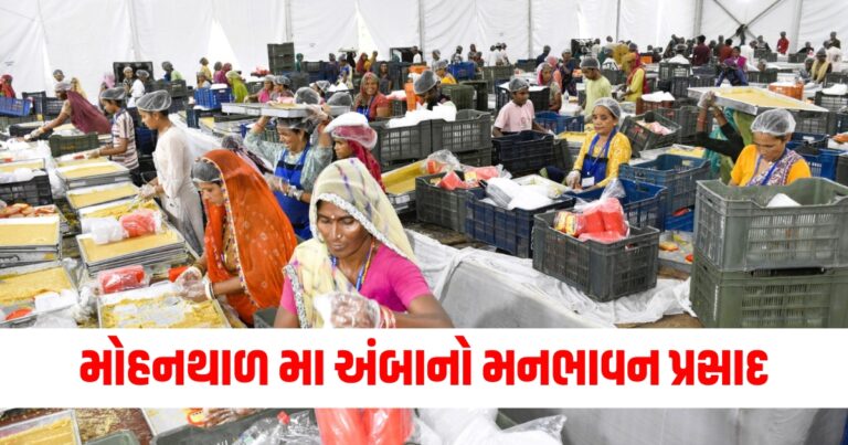 અંબાજી, Bhadrvi poonam mela, Ambaji, Prasad, Mohanthal,