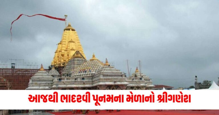 આજથી ભાદરવી પૂનમ, Ambaji Mandir, Free Food Arrangements, Ambaji News, Ambaji Bhadarvi Poonam,