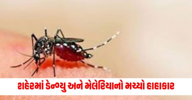 ડેન્ગ્યુ અને મેલેરિયા, Mosquito, Lifestyle, Health Care, Dengue,