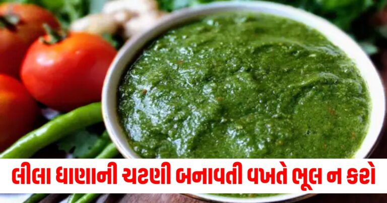 "Chutney Recipes, Types Of Indian Chutney Recipes, Popular Chutneys of India, Different Types of Chutney Recipes, Best Indian Chutney Recipes, Indian Chutney List, South Indian Chutneys, Indian Chutney Varieties, ચટણી વાનગીઓ, ભારતીય ચટણી વાનગીઓના પ્રકાર, ભારતની લોકપ્રિય ચટણી, વિવિધ પ્રકારની ચટણી વાનગીઓ, શ્રેષ્ઠ ભારતીય ચટણી વાનગીઓ