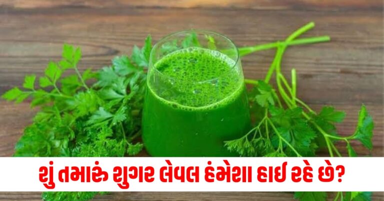 શું તમારું શુગર લેવલ હંમેશા હાઈ રહે છે? તો સવારે ખાલી પેટ આ જ્યુસ પીવો થશે અઢળક ફાયદા