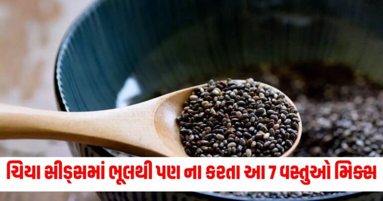 ચિયા સીડ્સ,