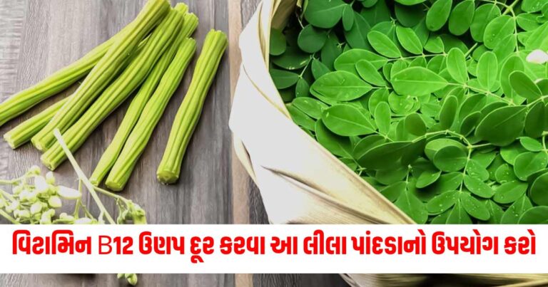 વિટામિન B12, Latest Health News In Gujarati Health News