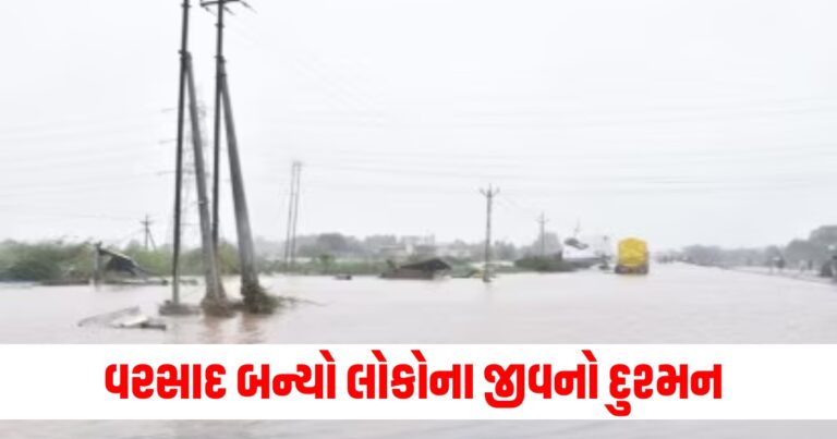 Rain news, Monsoon 2024, weather update, rain news, latest forcast update in gujarati , rain, gujarat rain, latest news in gujarati,