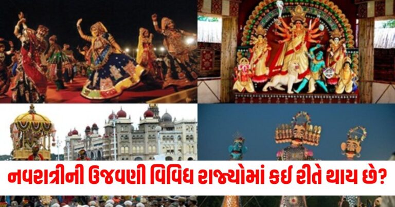 ભારતના વિવિધ રાજ્યોમાં કઈ રીતે નવરાત્રીની ઉજવણી કરવામાં આવે છે ?