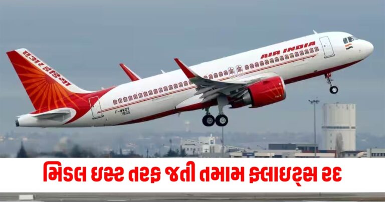 મિડલ ઇસ્ટ, Middle East, Israel Lebanon tension, Flights Cancelled,