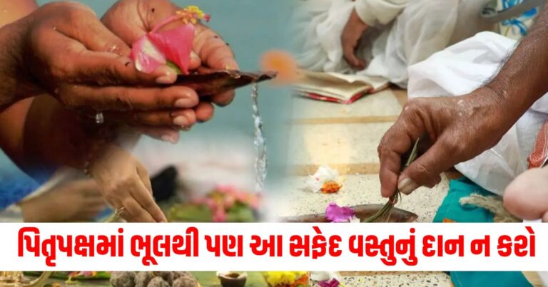 Lifestyle, Pitru Paksha, Astrology, Vastu Shastra, Religion, લાઇફસ્ટાઇલ, પિતૃ પક્ષ, એસ્ટ્રોલોજી, જ્યોતિષ, શ્રાદ્ધ, પિતૃ પક્ષ, વાસ્તુ શાસ્ત્ર, ધર્મ, Pitru Paksha, Pitru Paksha 2024, Pitru Paksha Niyam, Astrology, Pitru Paksha 2024 upay, daan ke niyam, donation during shraddha paksha,