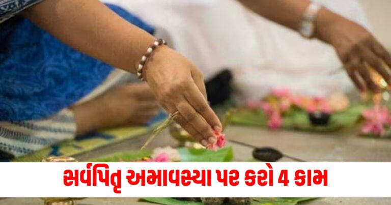 સર્વપિતૃ અમાવસ્યા પર કરો 4 કામ, મળશે પિતૃઓના આશીર્વાદ