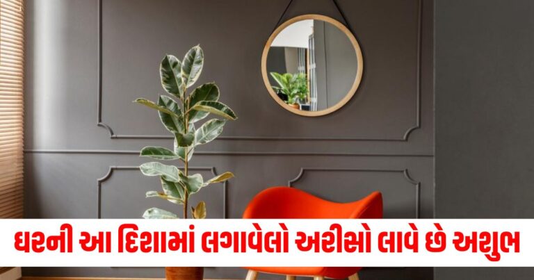 Vastu Tips, vastu shastra, vastu for mirror, vastu tips for mirror,