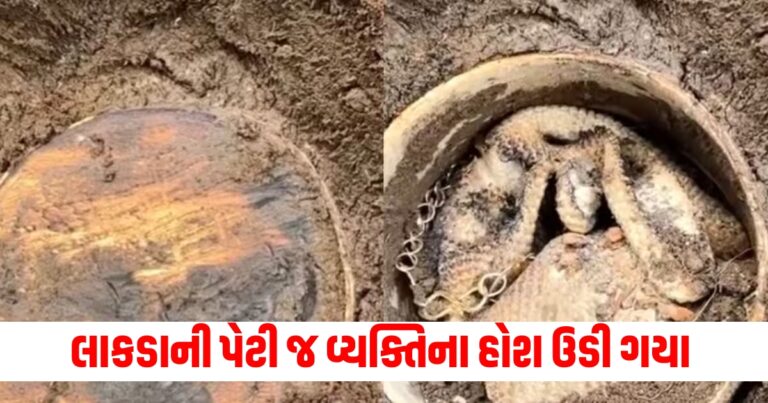 ખોદકામ કરતી વખતે વ્યક્તિને અચાનક એક લાકડાની પેટી મળી, ખોલીને જોતા જ તેના હોશ ઉડી ગયા