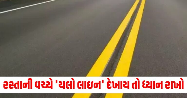 single yellow line purpose,double yellow line,yellow line on road,yellow line on road