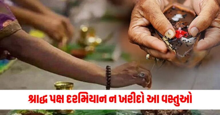 શ્રાદ્ધ પક્ષ, Pitru Paksha 2024, Shraddha Paksha, Shradha Paksha 2024, શ્રાદ્ધ,