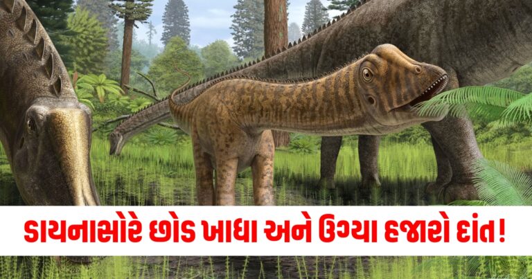 ડાયનાસોર