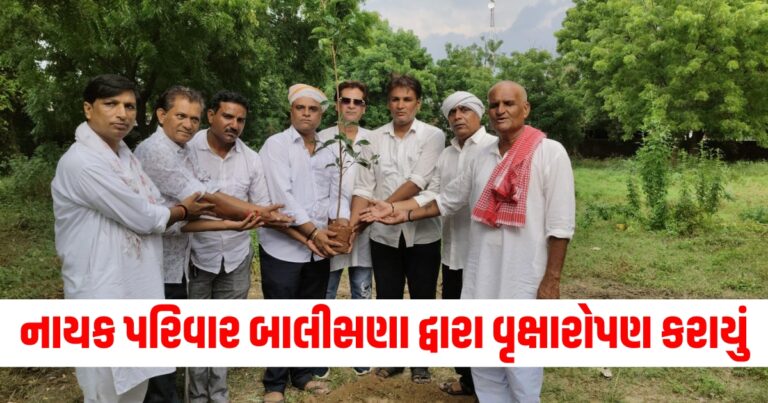 "એક પેડ મા કે નામ" અભિયાન અંતર્ગત નાયક પરિવાર બાલીસણા દ્વારા વૃક્ષારોપણ કરાયું