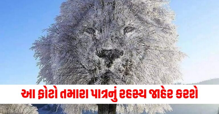 આ ફોટામાં તમે પહેલી નજરે શું જોયું? તે તમારા પાત્રનું રહસ્ય જાહેર કરશે