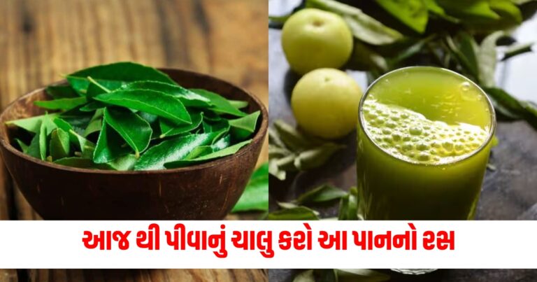 આજ થી પીવાનું ચાલુ કરો આ પાનનો રસ, ચહેરો પણ ચમકશે અને વજન વધવાની ચિંતા માંથી પણ મળશે છુટકારો