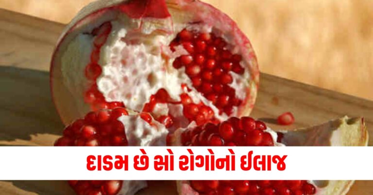 દાડમ છે સો રોગોનો ઈલાજ, તેને રોજ ખાઓ અને મેળવો બેજોડ ફાયદા.