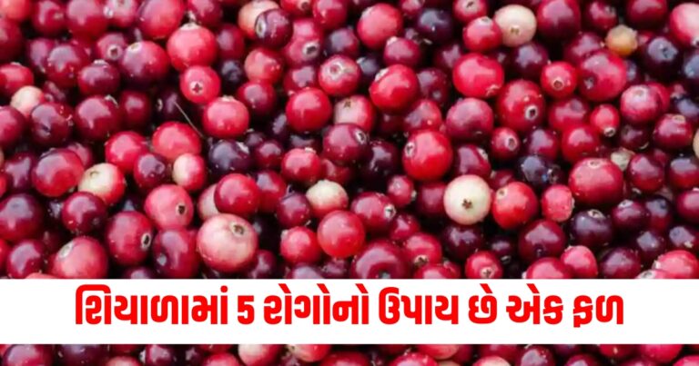 શિયાળા, Latest Health News , Health News in Gujarati