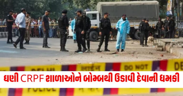 CRPF, CRPF schools bomb threat, Delhi bomb threat, schools bomb threat, delhi news, delhi police