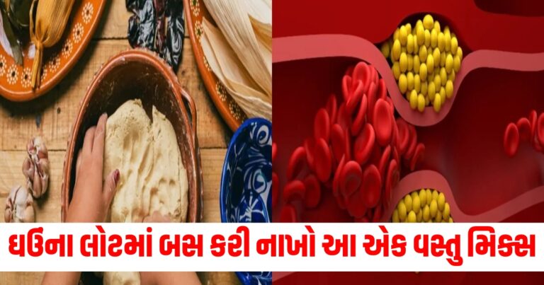 ઘઉંના લોટ, Food news, Food Update,