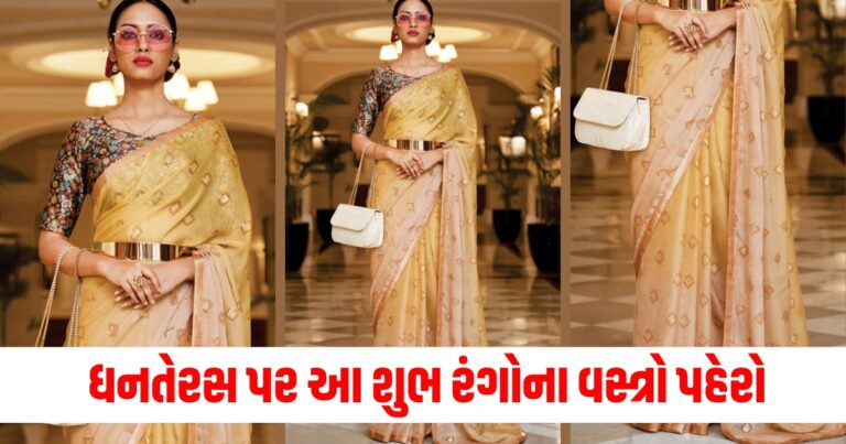 ધનતેરસ પર આ શુભ રંગોના વસ્ત્રો પહેરો, ઘરમાં ક્યારેય સુખ-સમૃદ્ધિનો અભાવ નહીં આવે.