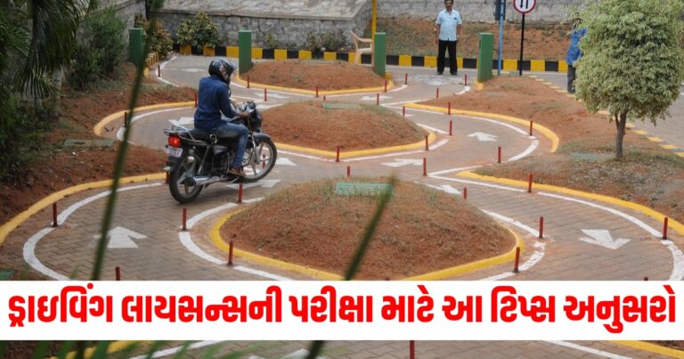 ડ્રાઇવિંગ લાયસન્સ, driving practice, driving license test question, driving license,Driving License Test,