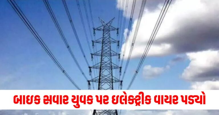 ઇલેક્ટ્રીક વાયર, gujarat,Gujarat Accident,Gujarat Accident News,Gujarat Accident News in hindi,Panchmahal