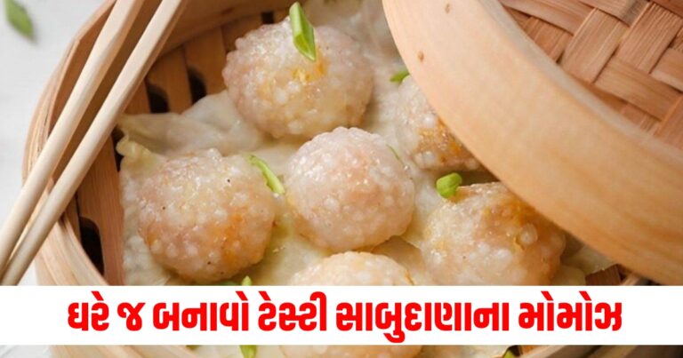 નવરાત્રિ, સાબુદાણા મોમોસ