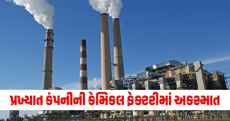 કેમિકલ ફેક્ટરી, Five workers die, Kandla Emami Agro plant , Kutch Emami Agro plant, toxic fumes,