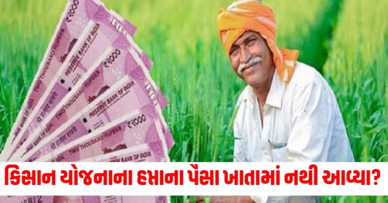 PM કિસાન યોજના,PM Kisan Samman, PM Kisan Yojana, PM Kisan Samman Nidhi, PM Kisan Samman Nidhi Yojana