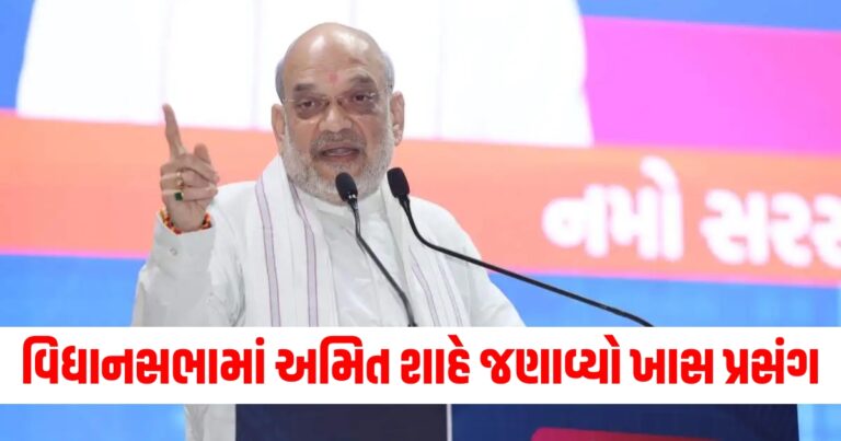 વિધાનસભામાં અમિત શાહે જણાવ્યો ખાસ પ્રસંગ, કલમ 370 વખતે શું ધ્યાન રખાયું હતું?