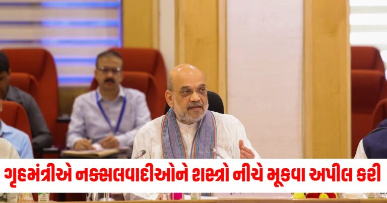 નક્સલવાદી, Amit Shah News, Amit Shah Naxal Meeting, Naxalism, Chhattisgarh