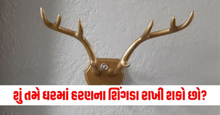 શું તમે ઘરમાં હરણના શિંગડા રાખી શકો છો? જાણો વાસ્તુશાસ્ત્ર અનુસાર આવું કરવું શુભ છે કે અશુભ