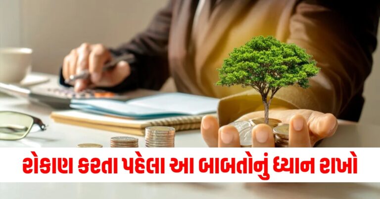 રોકાણ કરતા પહેલા આ મહત્વપૂર્ણ બાબતોનું ધ્યાન રાખો, નહીં તો થઈ શકે છે નુકસાન